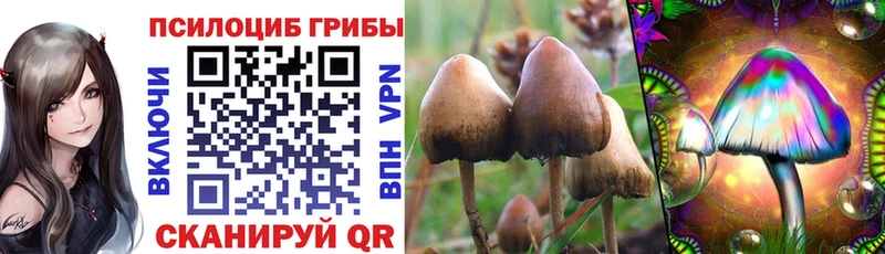 Галлюциногенные грибы прущие грибы  Кохма 